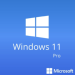 Windows 11 Pro